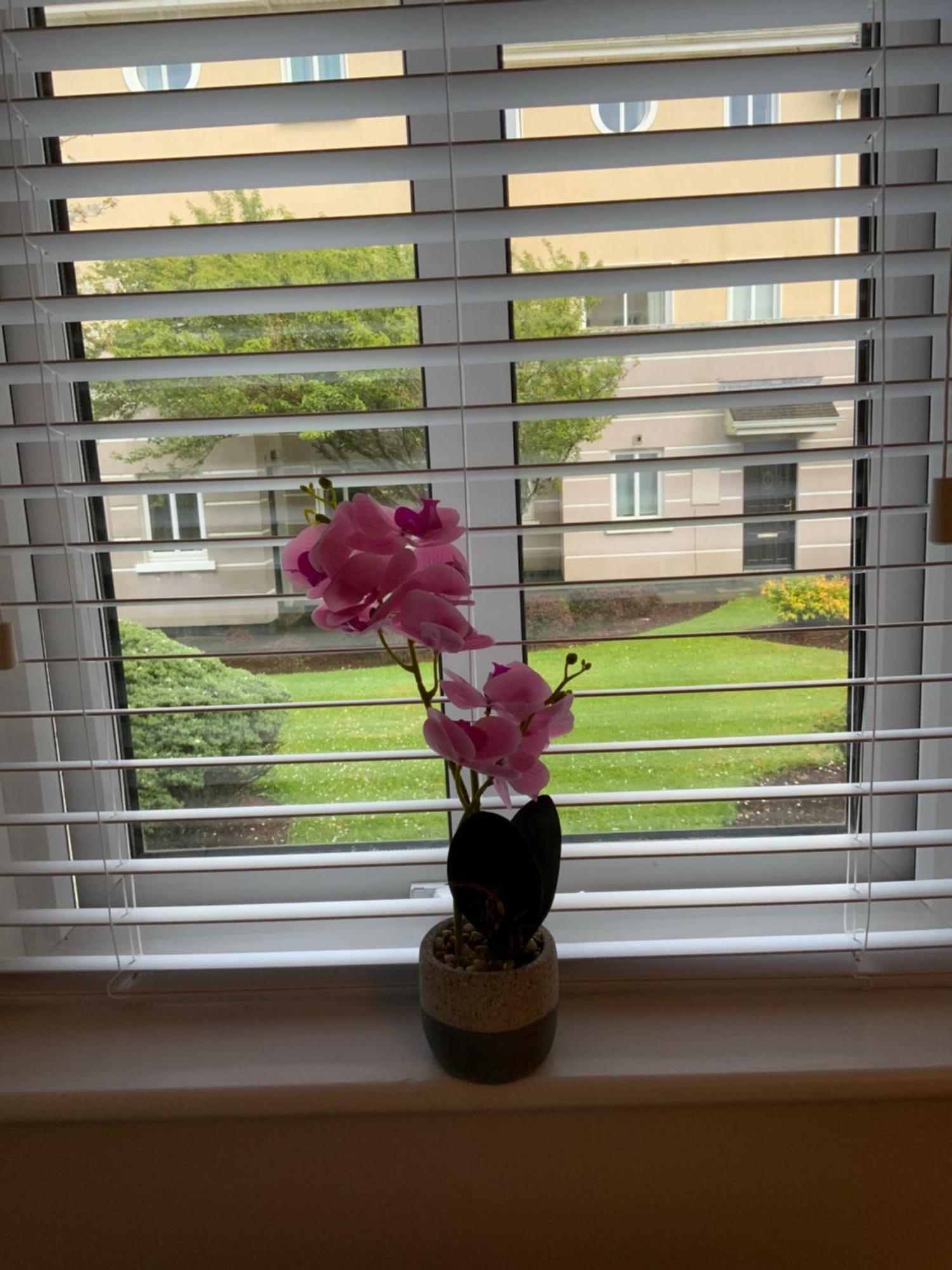 Quite And Cozy 2 Bedroom Apartment Galway Buitenkant foto